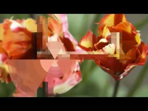 480x360 Deco Sketch Teaser - Deco Sketch