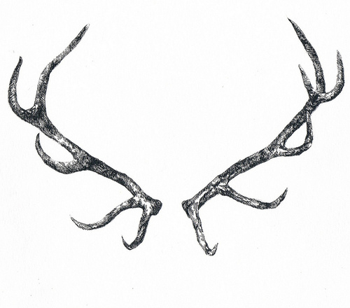 Deer Sketch Drawing at PaintingValley.com | Explore collection of Deer ...