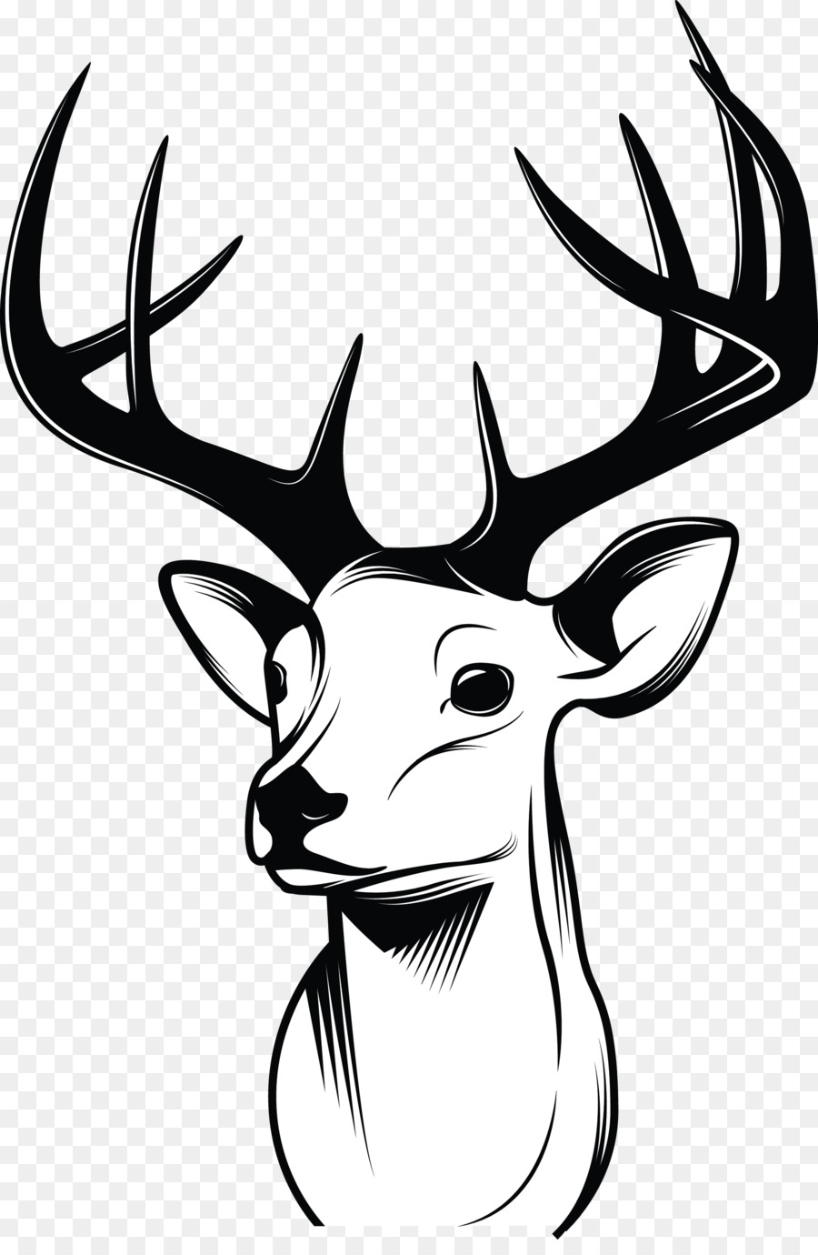 900x1380 Deer Drawing Sketch - Deer Antler Sketch