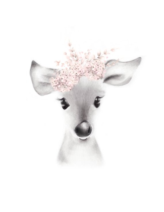 570x738 Deer Nursery Art Baby Animal Face Pink Flowers Woodland Etsy - Deer Face Sketch