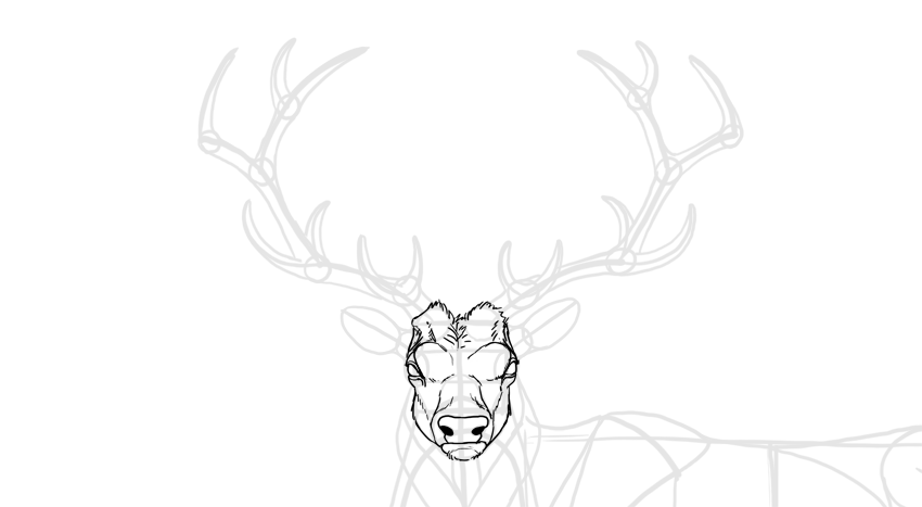 850x467 How To Draw A Deer Step By Step - Deer Face Sketch