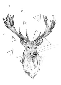 236x326 Deer Head By On @ Tats In - Deer Head Sketch
