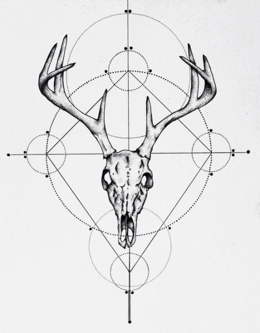 507x650 Deer Skull Drawing, Deer, Skull, Drawing Art Print Sunshineestes - Deer Head Sketch