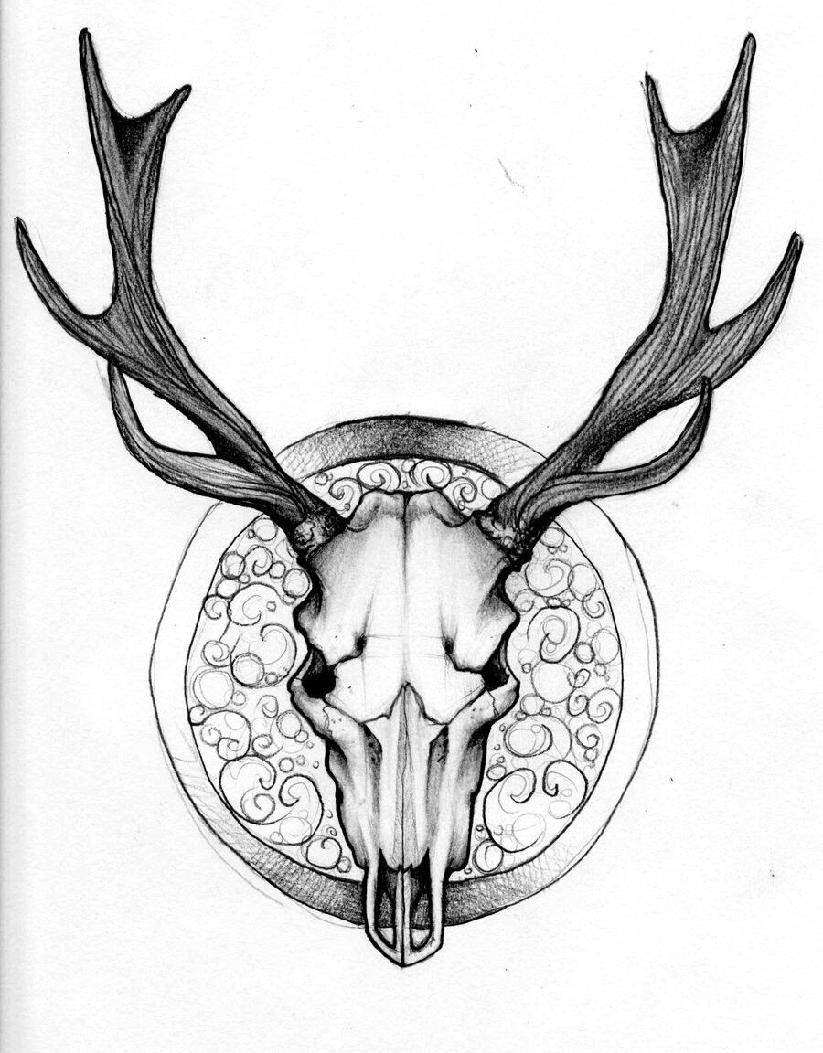 900x1152 20 Deer Skull Drawing - Deer Head Sketch