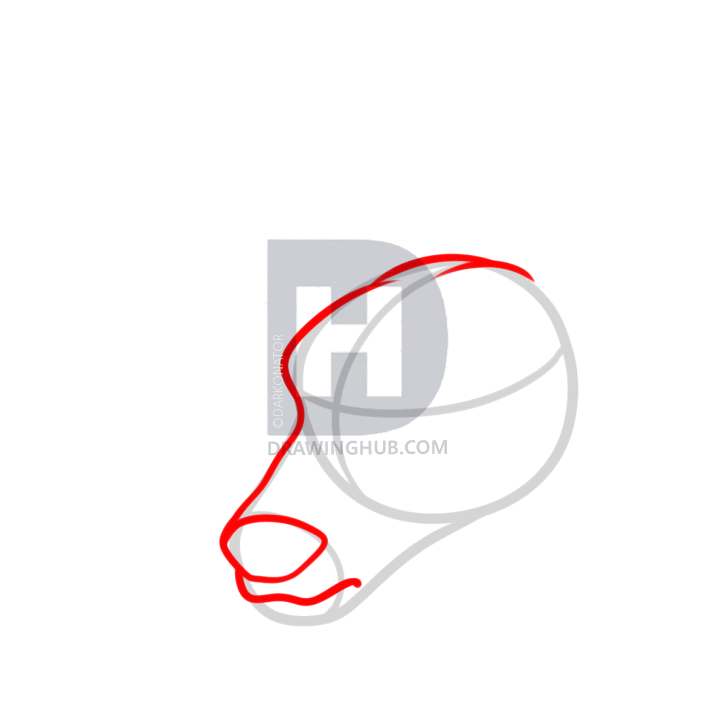 725x720 How To Draw A Deer Head, Step By Step, Drawing Guide, By - Deer Head Sketch