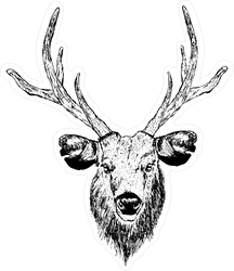 216x250 Deer Head Sketch Sticker - Deer Head Sketch