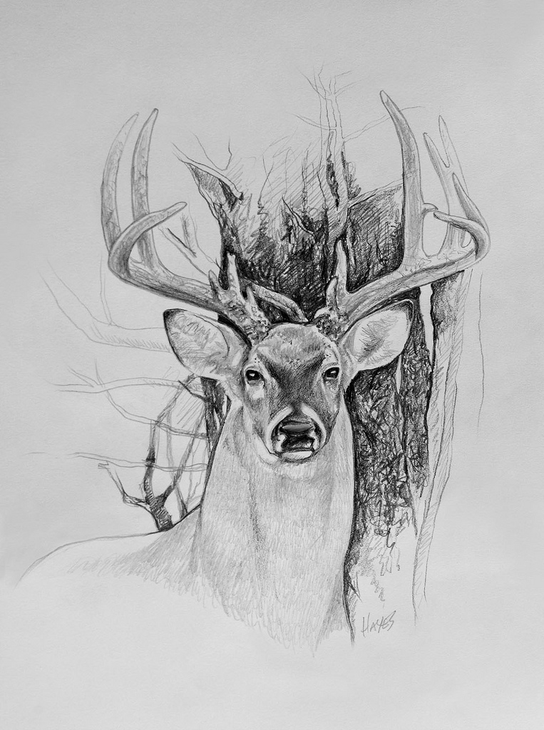 763x1024 Hunting Sketch Whitetail Deer By Darkhorselove - Deer Hunting Sketch