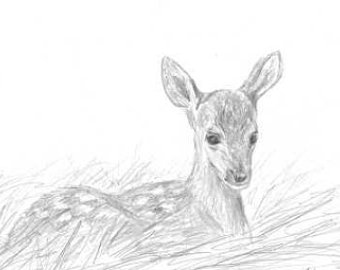 340x270 Deer Pencil Sketch Etsy - Deer Pencil Sketch