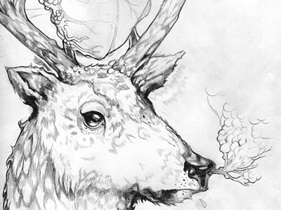 400x300 Deer Sketch By Chris Varricchione - Deer Sketch