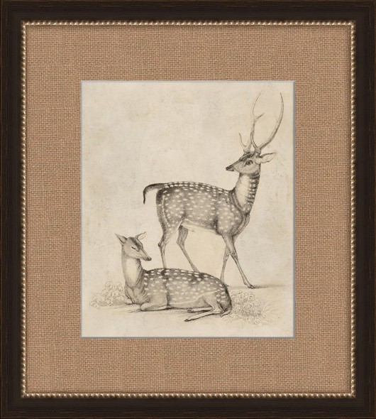 530x590 Framed Deer Sketch - Deer Sketch