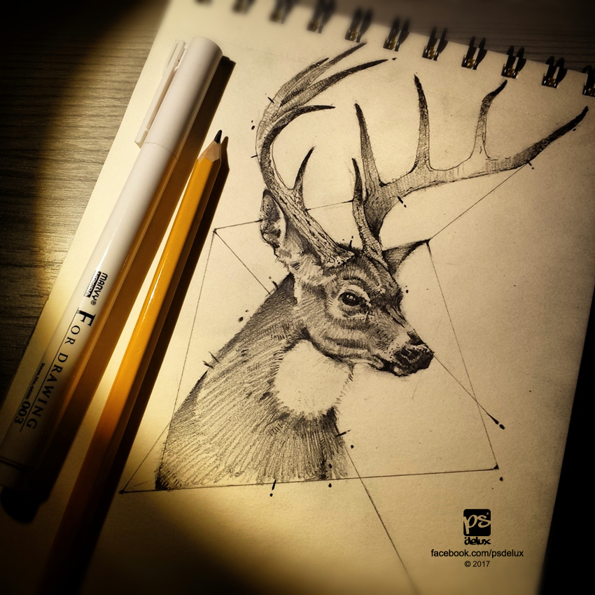 850x850 20170213 Deer Sketch Psdelux By Psdeluxe - Deer Sketch