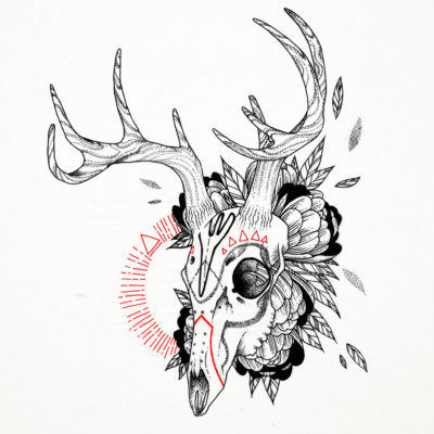 400x400 Sketch Art, Pencil Drawings Tag Deer Archives - Deer Sketch Art