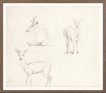 360x318 Celadon. Collection 07 - Deer Sketch Art