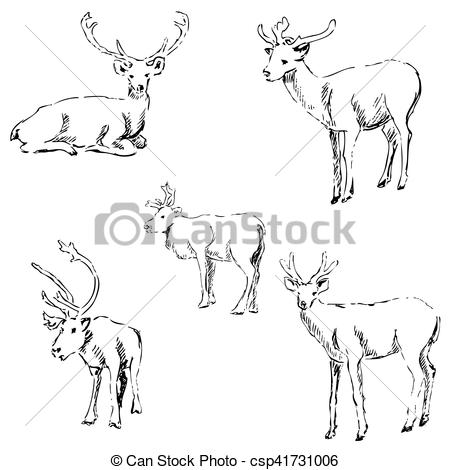450x470 Deer Sketch. Pencil Drawing By Hand. Vector Image. - Deer Sketch Images