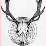 150x150 Deer Skull Drawing 147632 Elk Skull Displaying 20 For Deer Skull - Deer Skull Sketch