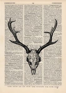 212x300 Deer Skull Illustration Dictionary Art Print Vintage Hipster - Deer Skull Sketch
