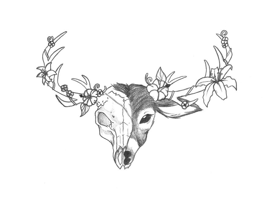 900x649 Stylized Deer Skull Sketch Hand Drawn Original Illustration - Deer Skull Sketch