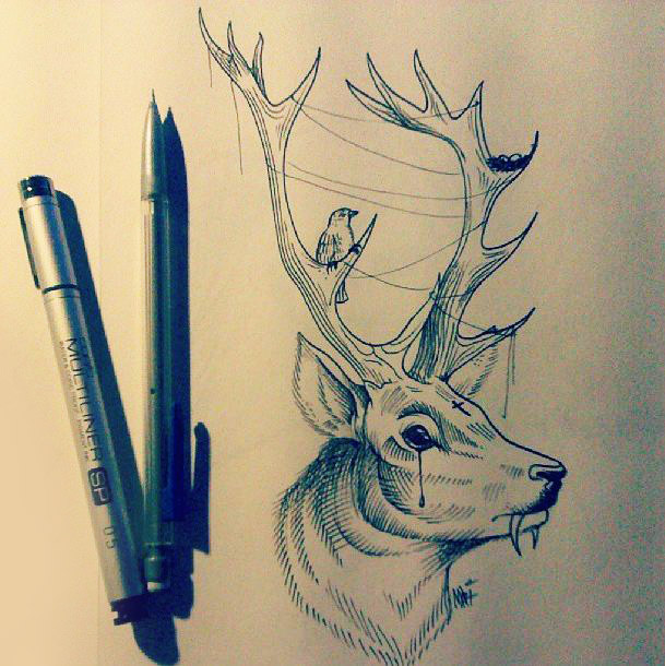 609x610 Deer Tattoo By Marymarylp - Deer Tattoo Sketch