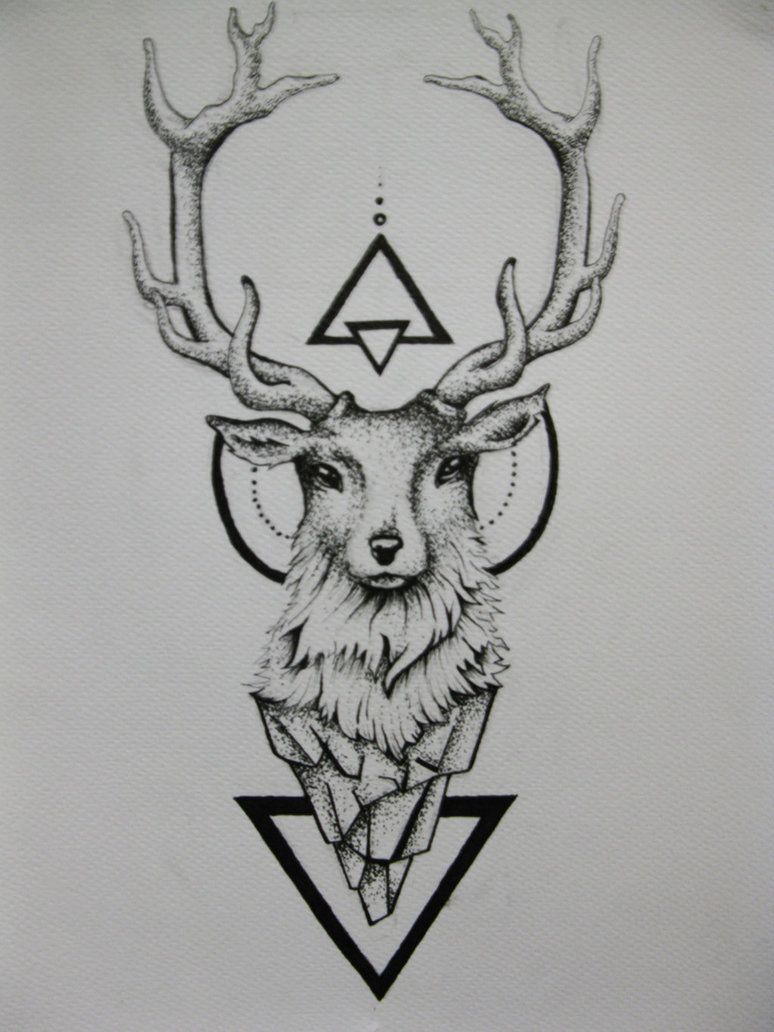774x1032 Deer Tattoo By Duduarte De Tatuajes - Deer Tattoo Sketch