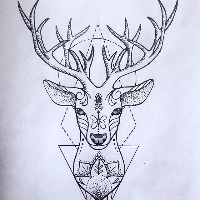 640x640 Tattoos, Deer Tattoo And Drawings - Deer Tattoo Sketch
