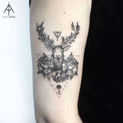 500x500 Deer Tattoo Sketch Tumblr - Deer Tattoo Sketch