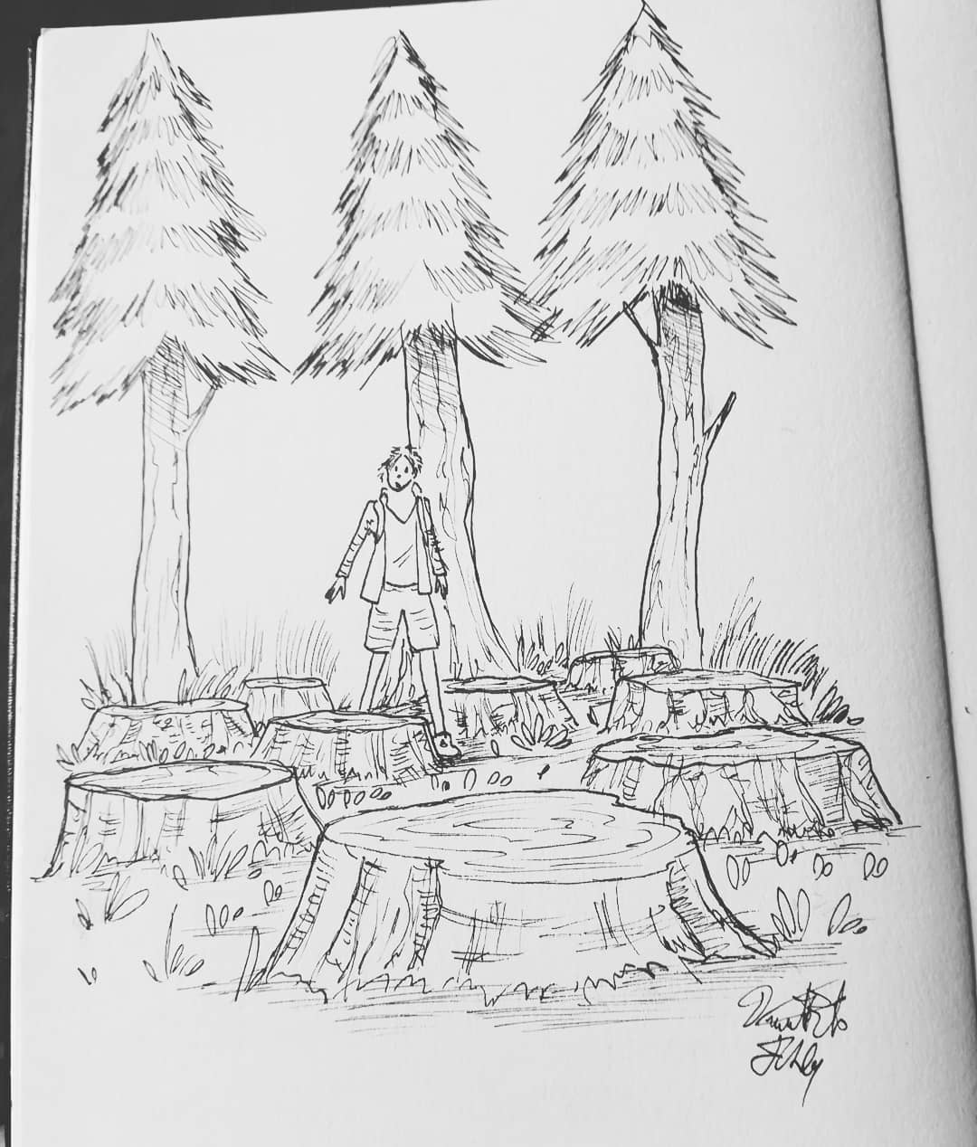 Deforestation Sketch at Explore collection of