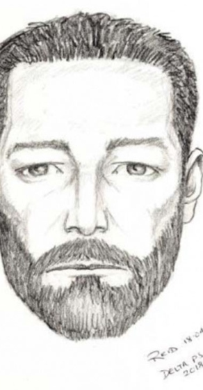292x560 Delta Police Release Sketch Of North Delta Sex Assault Suspect - Delta Sketch