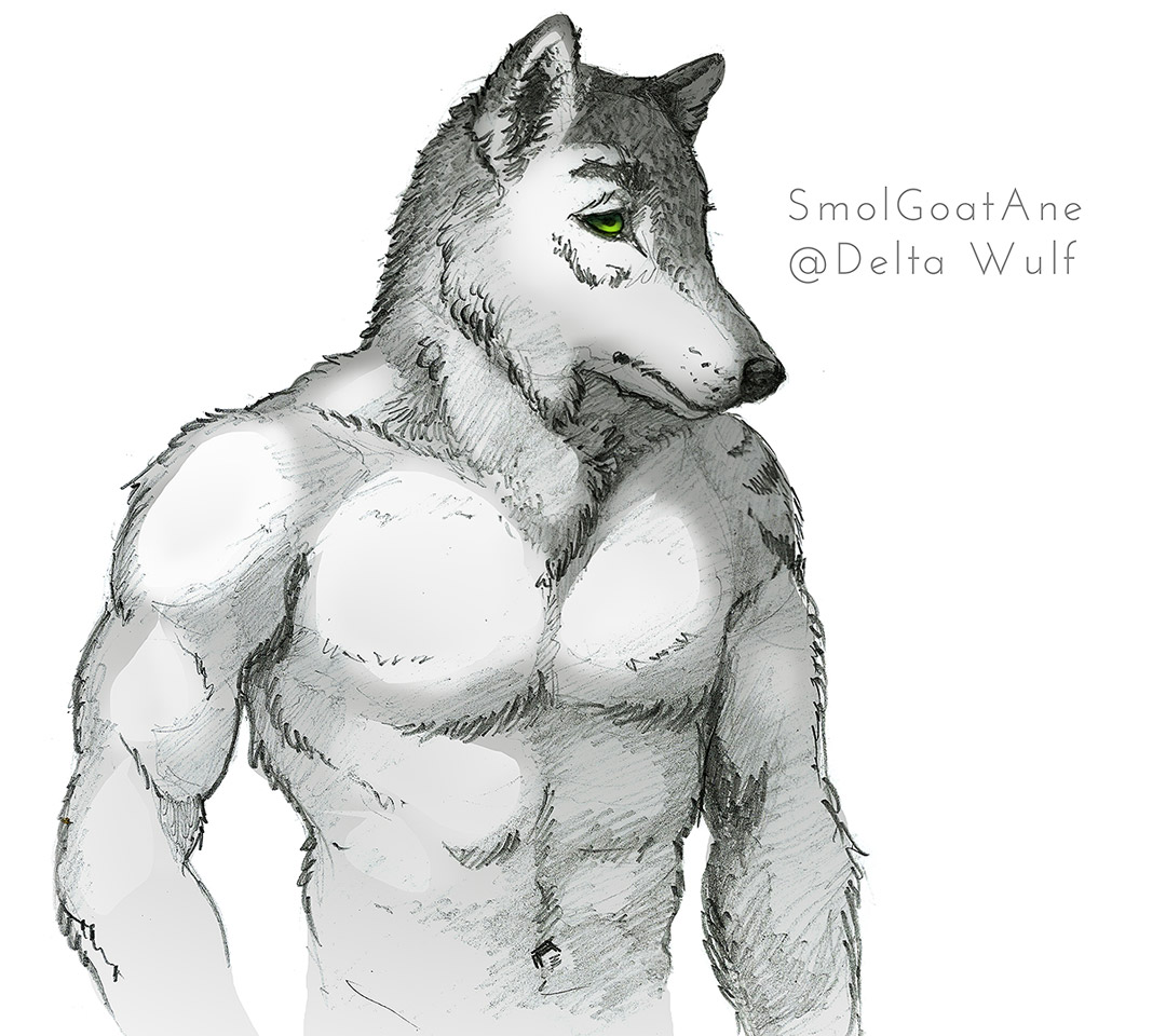 1080x960 Delta Wulf - Delta Sketch