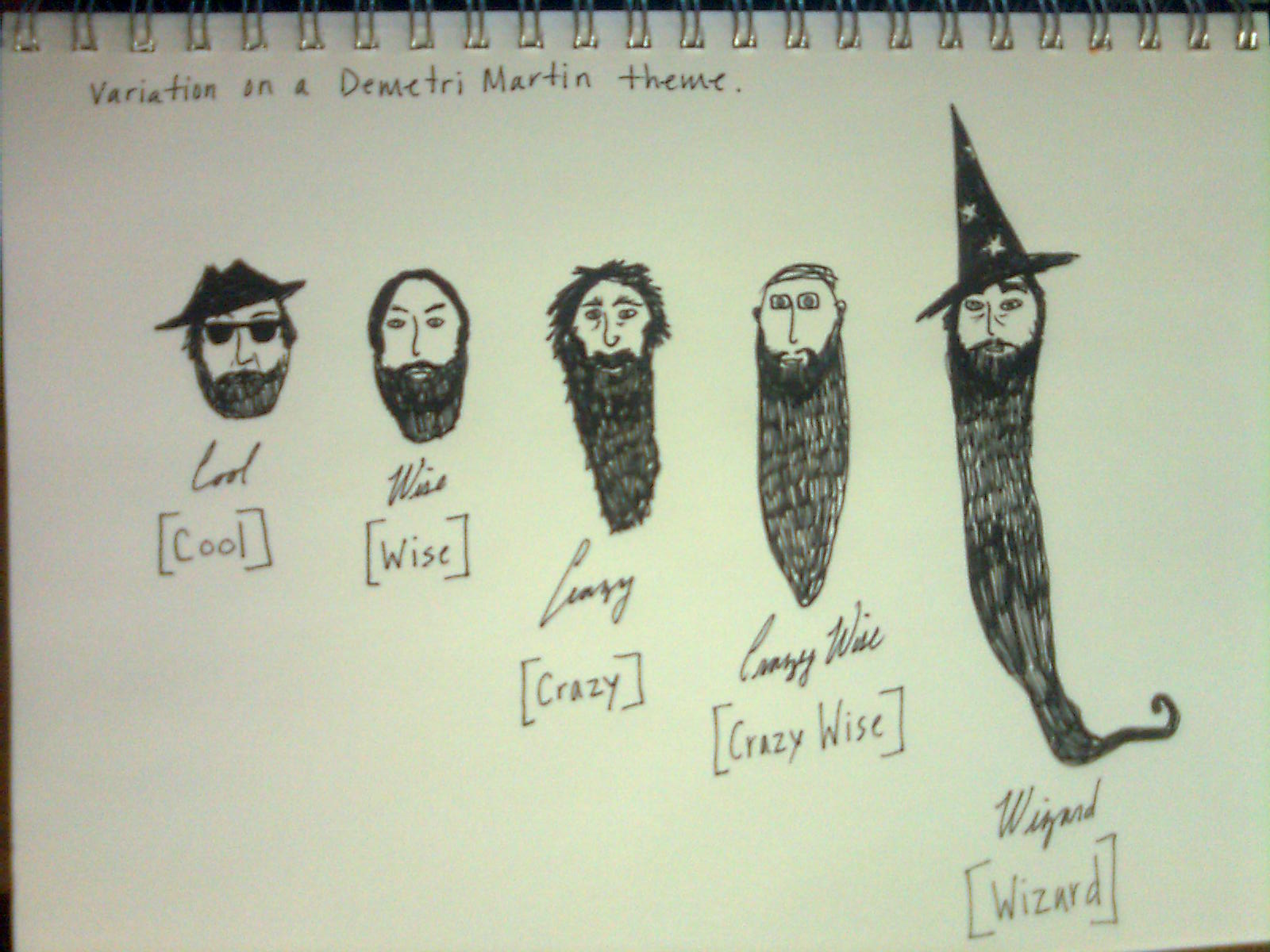 1600x1200 A Drawing A Day 125 Of 365 - Demetri Martin Sketches