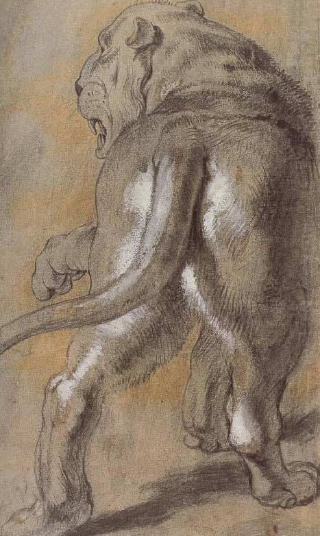 467x782 The Great Lions Of Drawing Drawingwell - Den Sketch