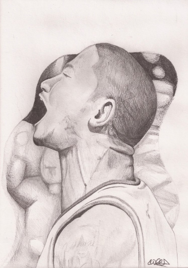 749x1067 Derrick Rose By Cfw11mmbs - Derrick Rose Sketch