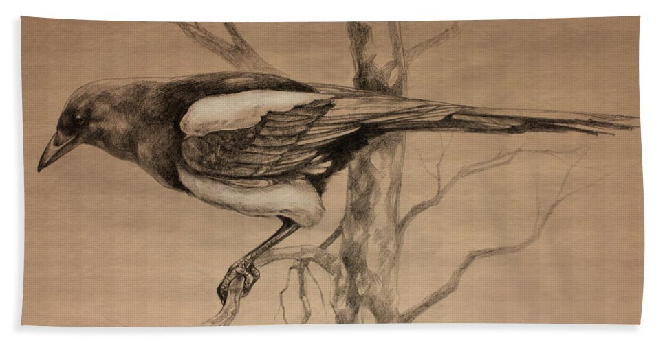 967x500 Magpie Sketch Beach Towel For Sale By Derrick Higgins - Derrick Sketch