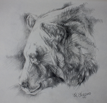 360x349 Derrick Higgins - Derrick Sketch