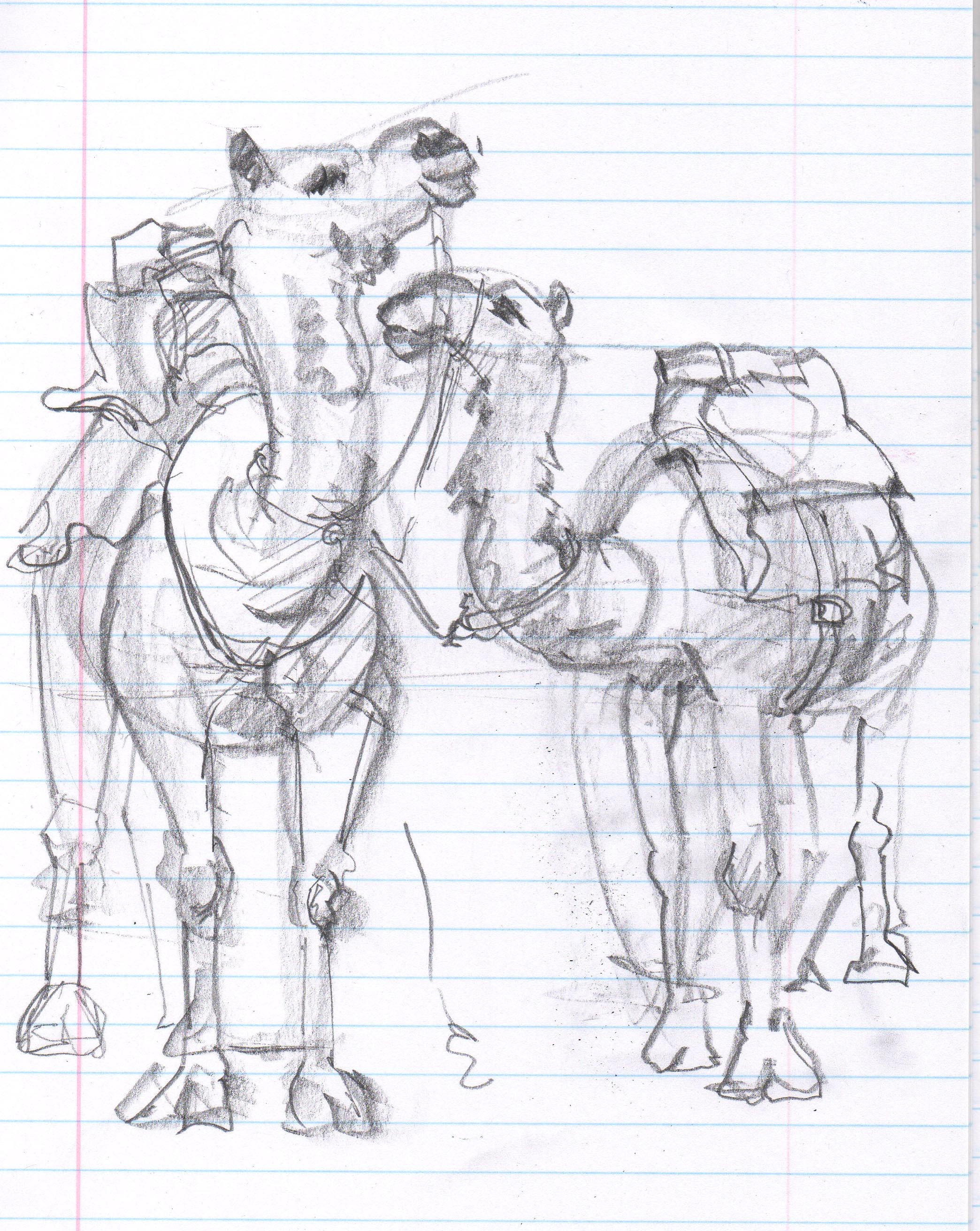 2088x2623 Desert Drawing Camels Moveable Paintbox - Desert Sketch
