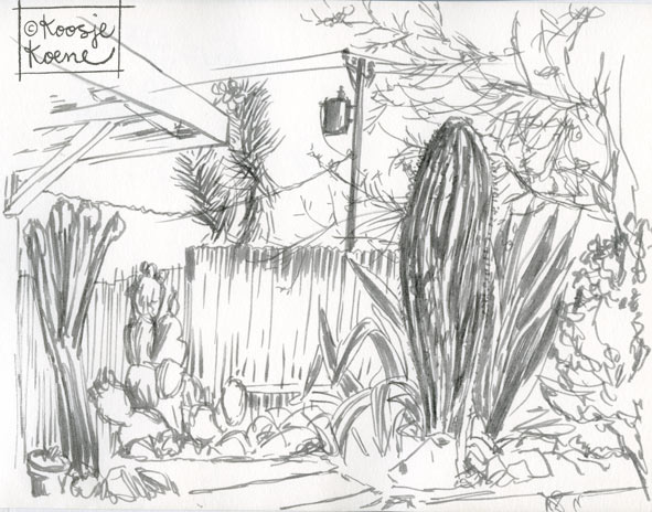 591x464 Desert Sketches - Desert Sketch