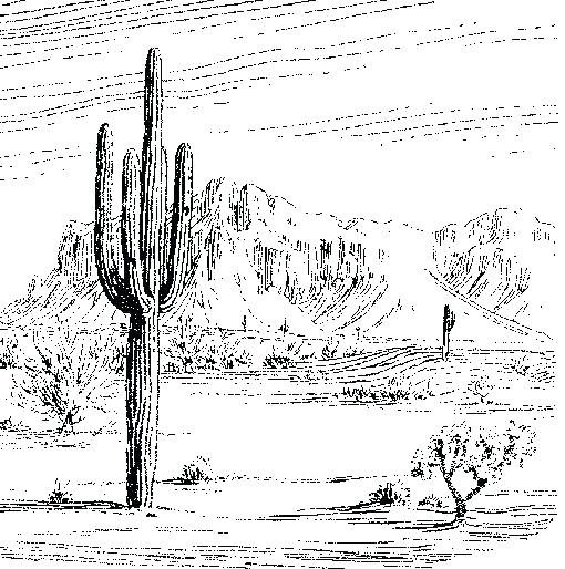 510x514 Drawn Desert Sketch - Desert Sketch