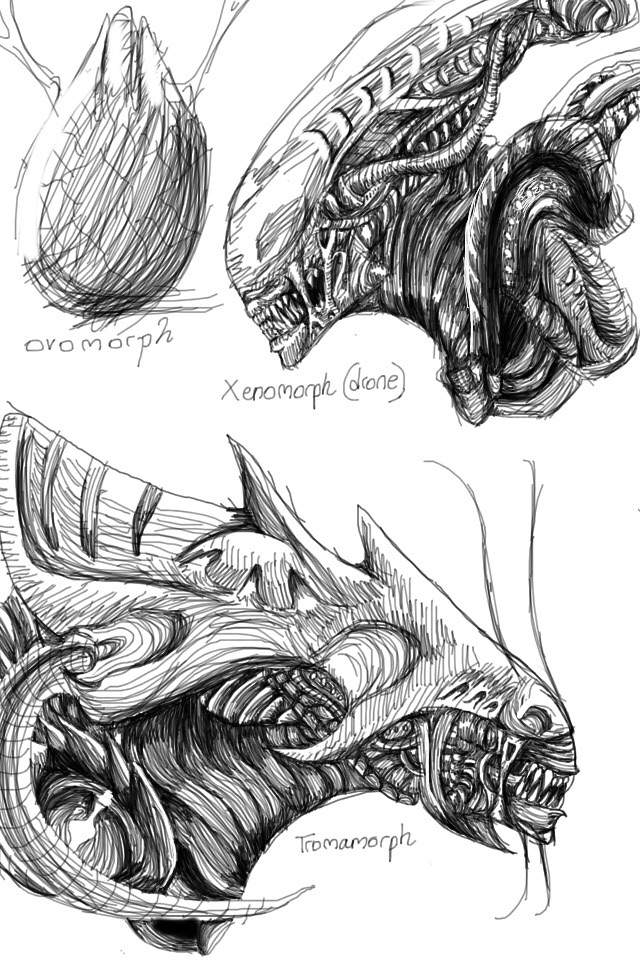 640x960 Detailed Sketches Alien Versus Predator Universe Amino - Detailed Sketches