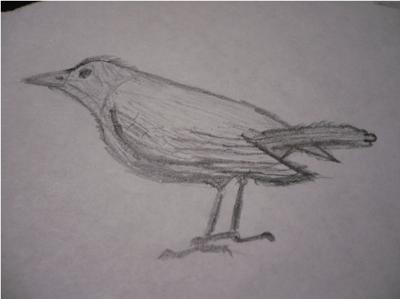 400x299 My First Detailed Drawing (A Bird) - Detailed Sketches