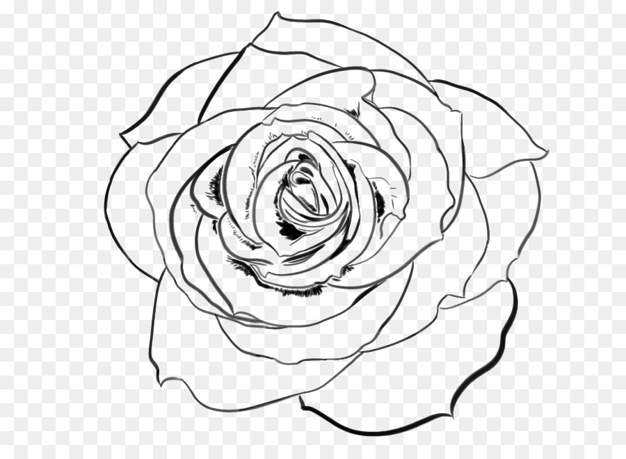 900x660 Line Art Garden Roses Drawing - Deviantart Sketch
