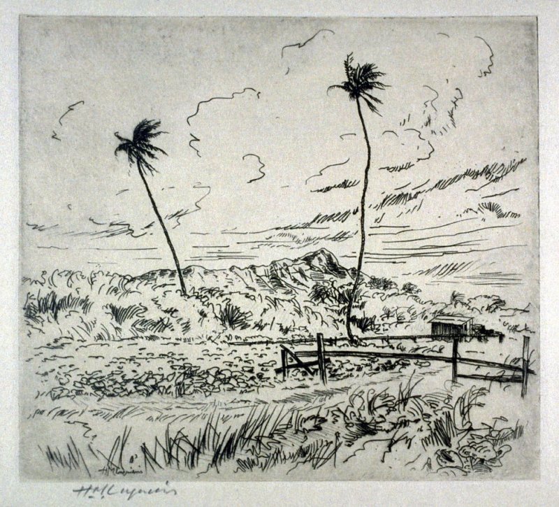 800x725 Diamond Head, Hawaii - Diamond Head Sketch