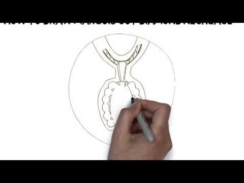 480x360 How To Draw Marquis Cut Diamond Necklace - Diamond Necklace Sketch