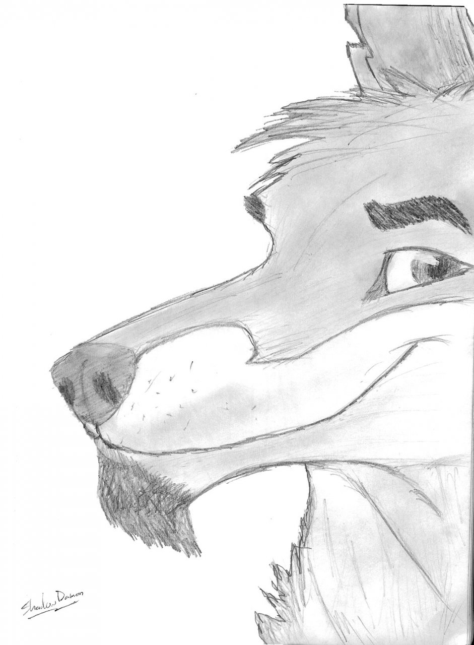 941x1280 Diego Sketch By Shadowdamon - Diego Sketch