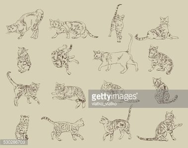 379x299 Digital Drawings, Set Sketches Of Cats In Different Poses, Stock - Different Sketches