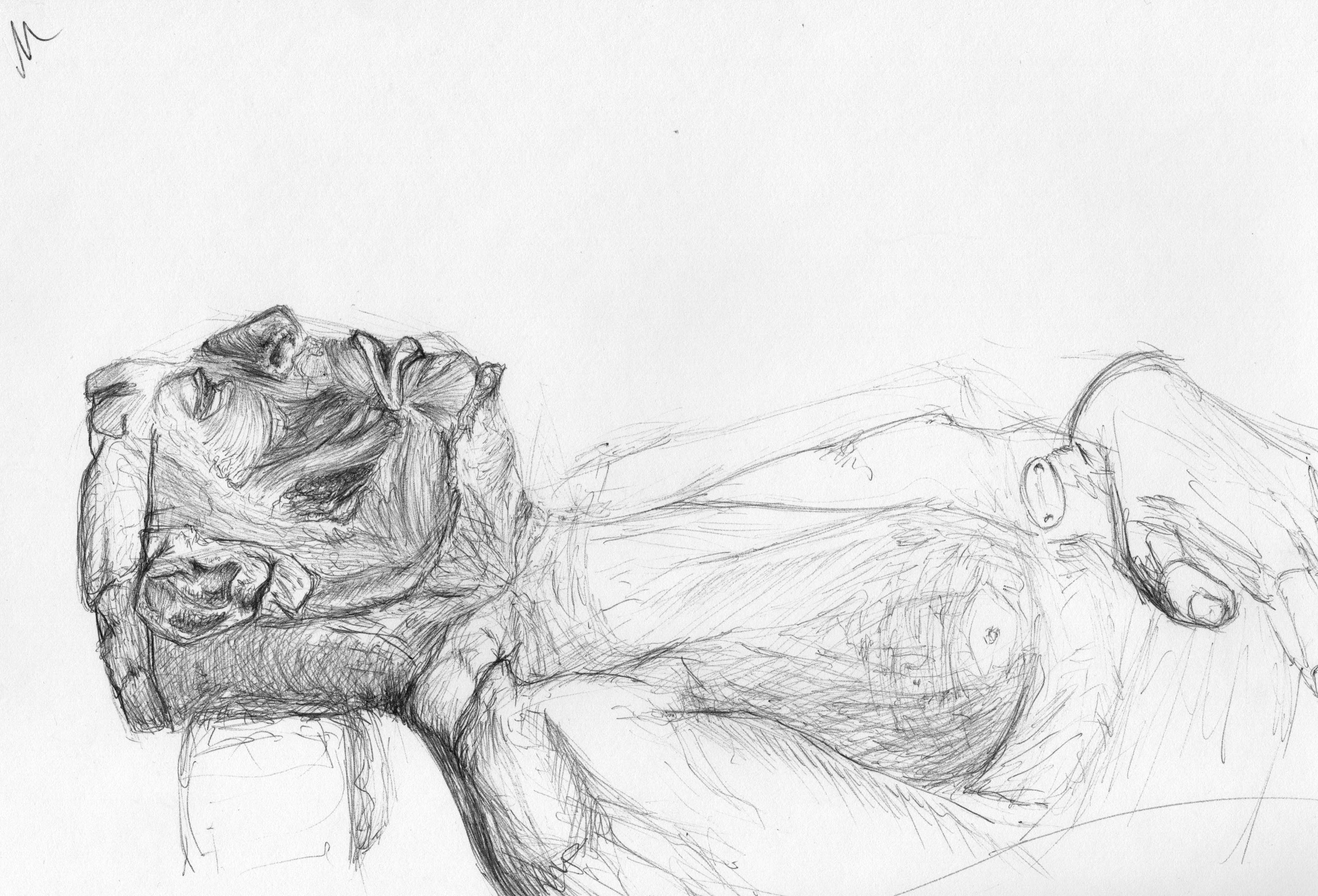 3161x2149 Cadaver Sketches Biomed Art Blog - Difficult Sketches