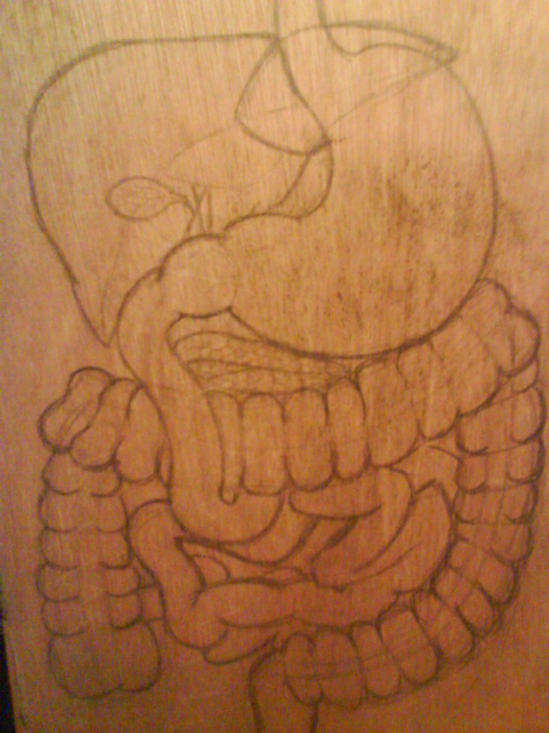 774x1032 Sketch Of The Digestive System By Youkohikari26 - Digestive System Sketch