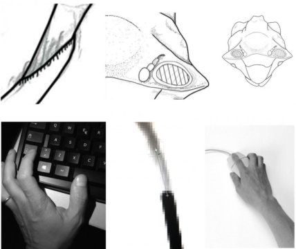 428x360 New Fast And Free Method To Make Accurate Digital Line Drawings - Digital Sketch Free