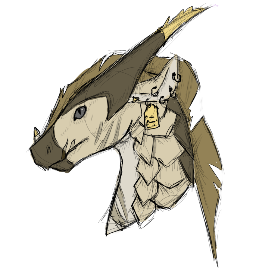 870x918 Dingo Sketch By Blazicthedragon - Dingo Sketch