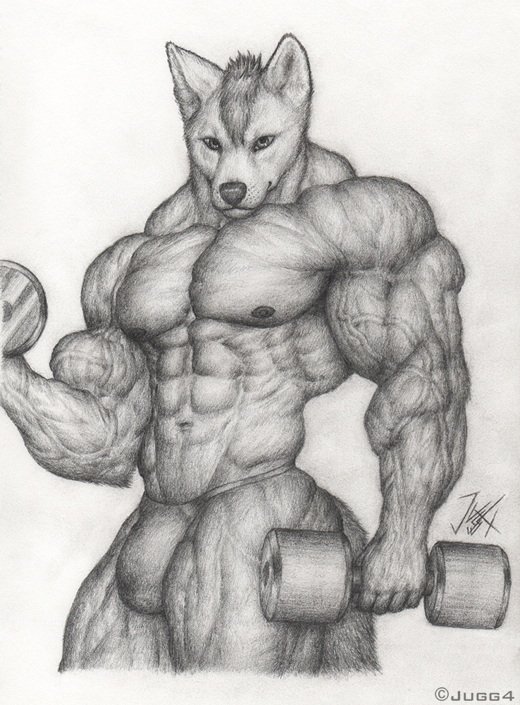 738x1000 Dingo Workout By Jugg4 - Dingo Sketch