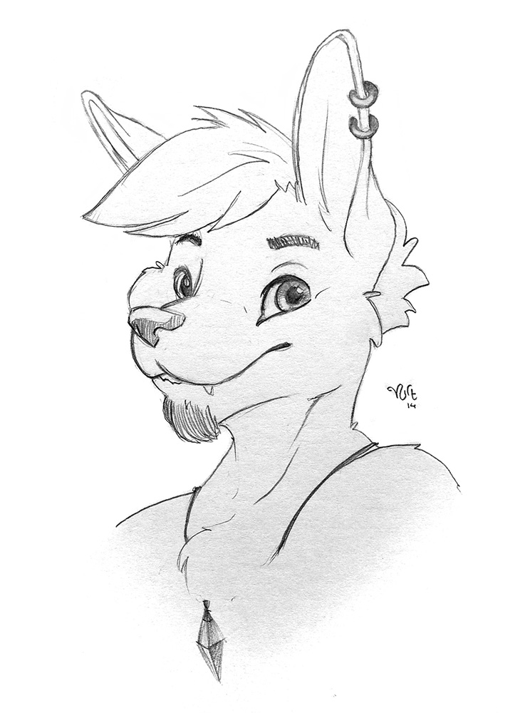 744x1000 Urban Dingo Sketch Weasyl - Dingo Sketch