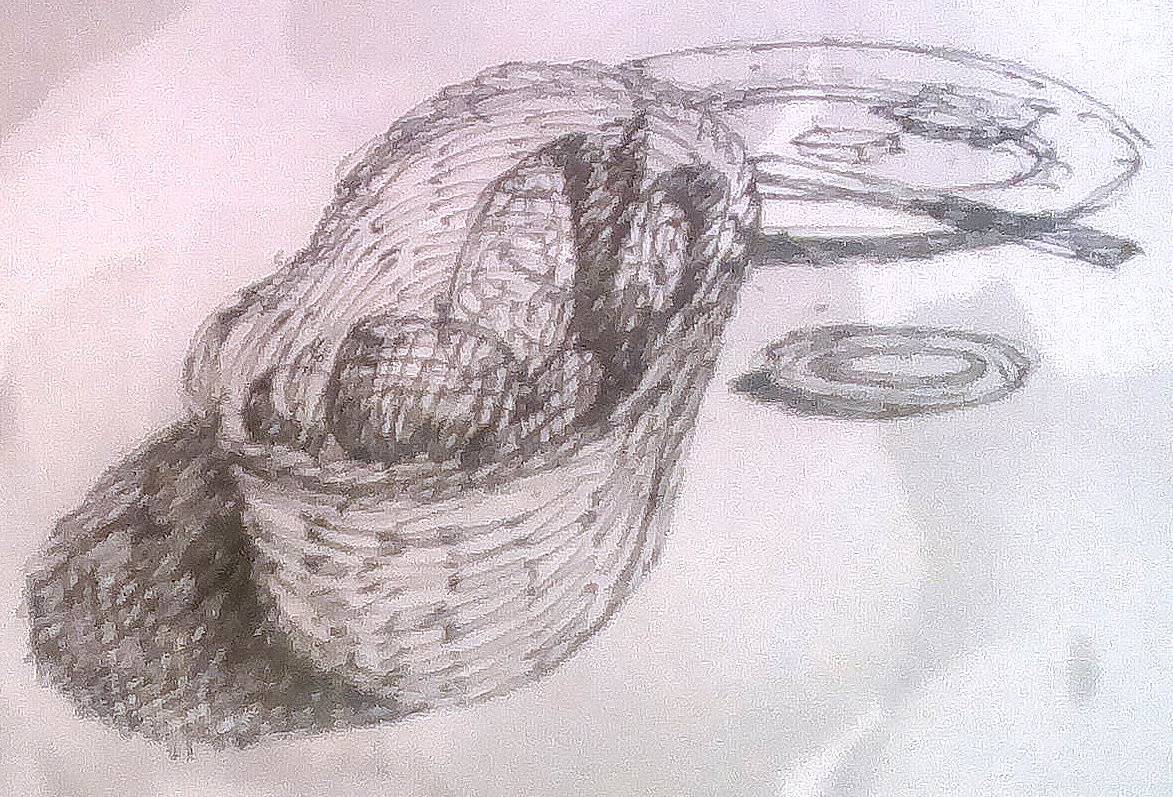 1173x797 Sketches - Dinner Table Sketch